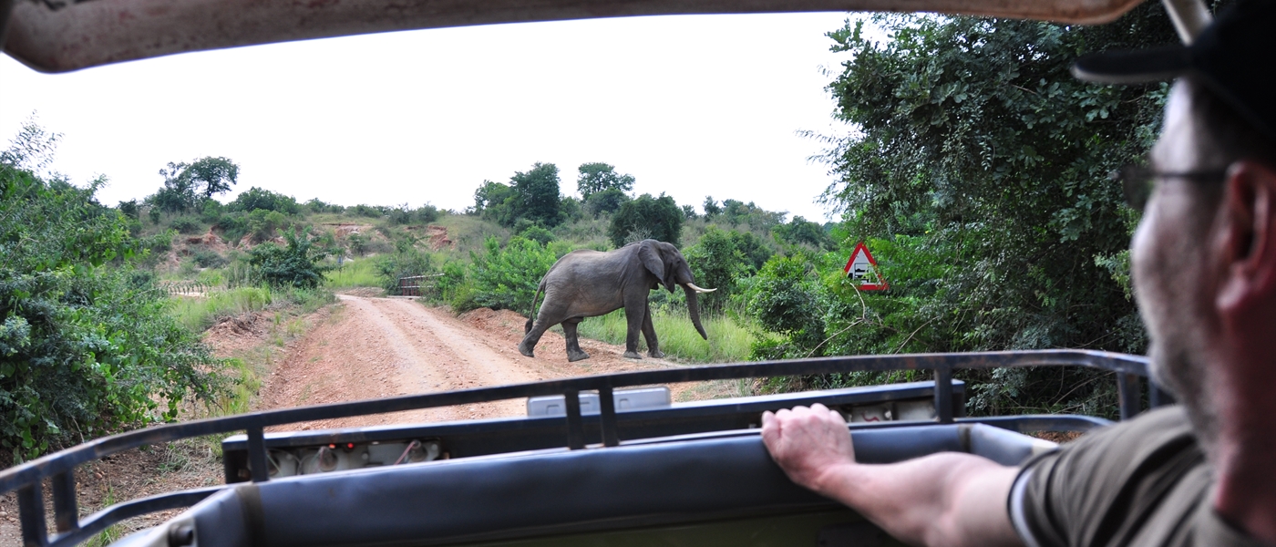 Game Drives in the National park