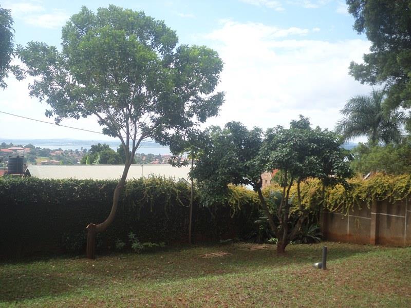 Maisonette for rent in Buziga Kampala