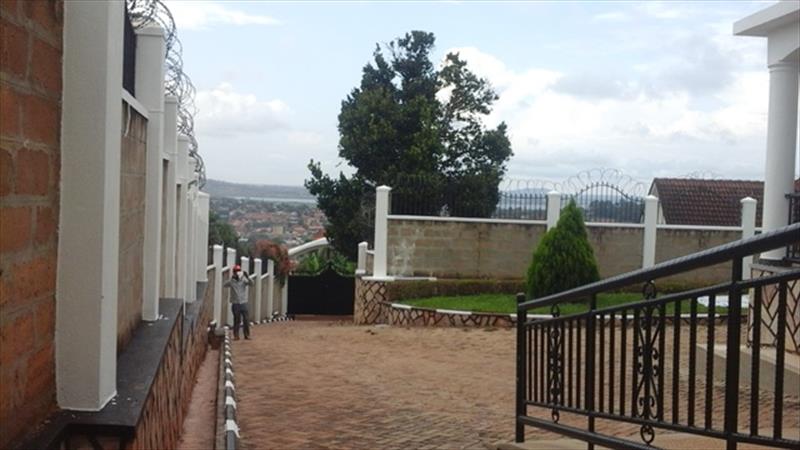 Mansion for rent in Buziga Kampala