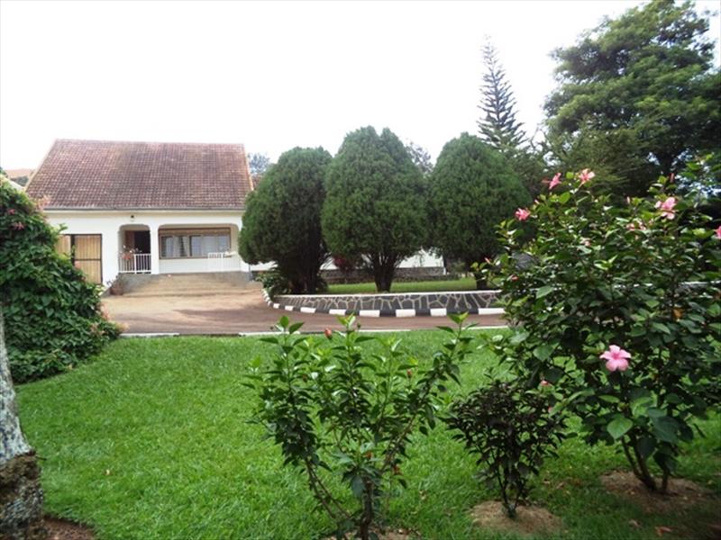 Bungalow for rent in Entebbe Wakiso