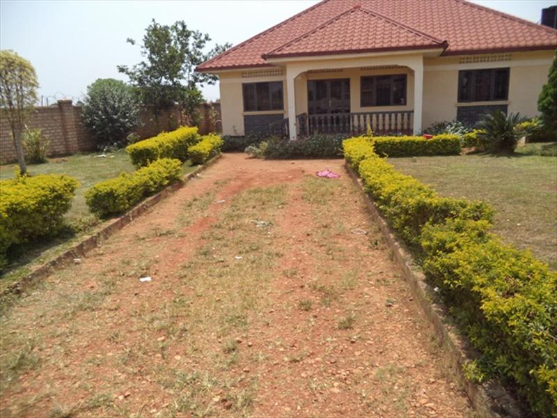 Bungalow for rent in Nkumba Wakiso