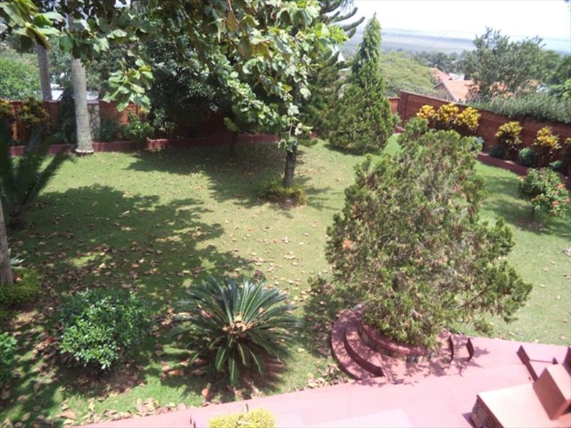 Mansion for rent in Entebbe Wakiso