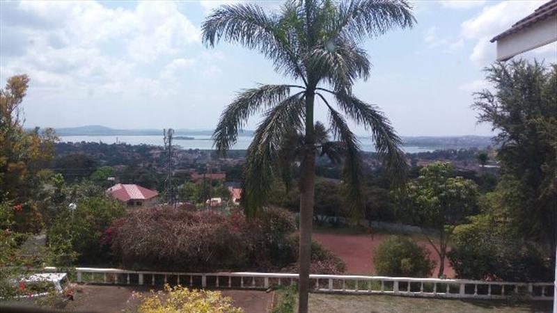 Mansion for rent in Mutungo Kampala