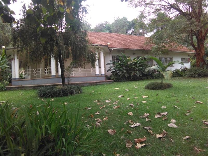 Bungalow for rent in Kololo Kampala