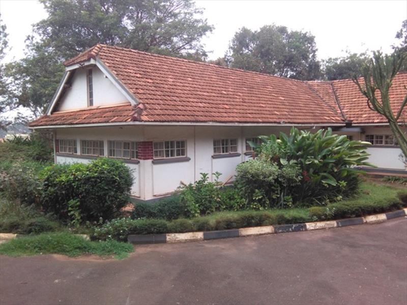 Bungalow for rent in Kololo Kampala