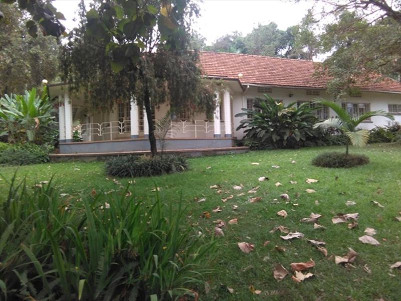 Bungalow for rent in Kololo Kampala