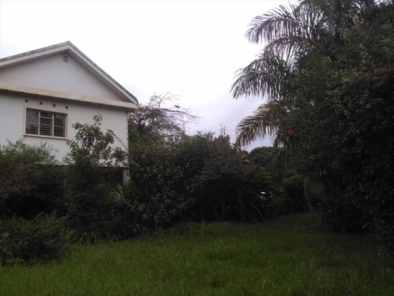 Bungalow for rent in Kololo Kampala