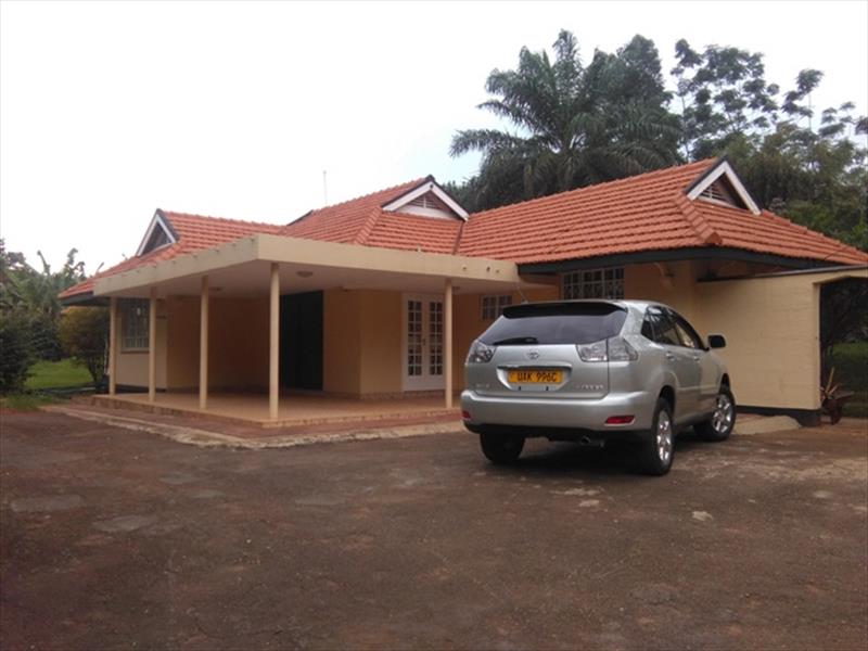 Bungalow for rent in Kololo Kampala