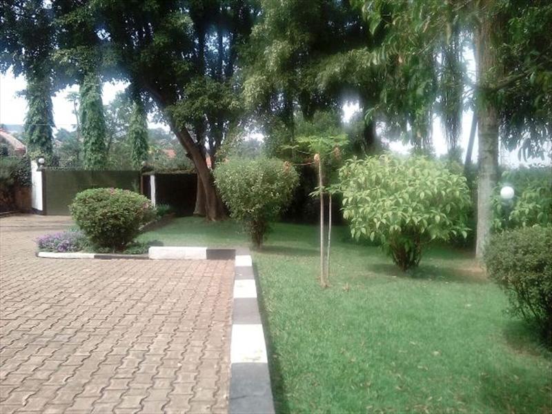 Bungalow for rent in Naguru Kampala