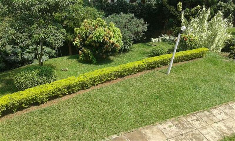 Town House for rent in Kololo Kampala