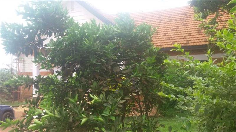 Bungalow for rent in Naalya Kampala