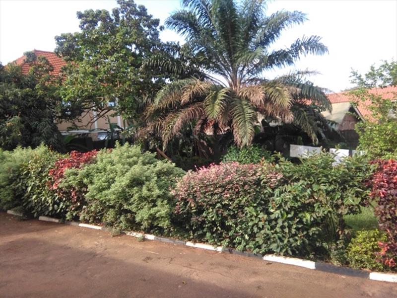 Bungalow for rent in Rubaga Kampala