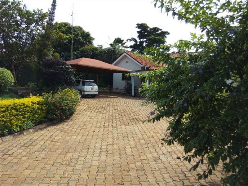 Bungalow for rent in Lubowa Kampala