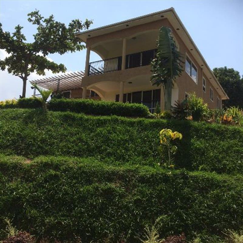 Mansion for sale in Buziga Kampala