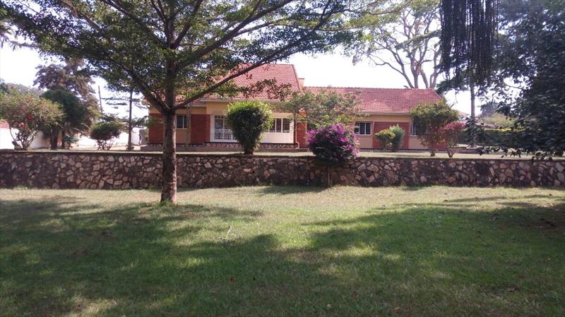 Bungalow for rent in Mbalwa Wakiso