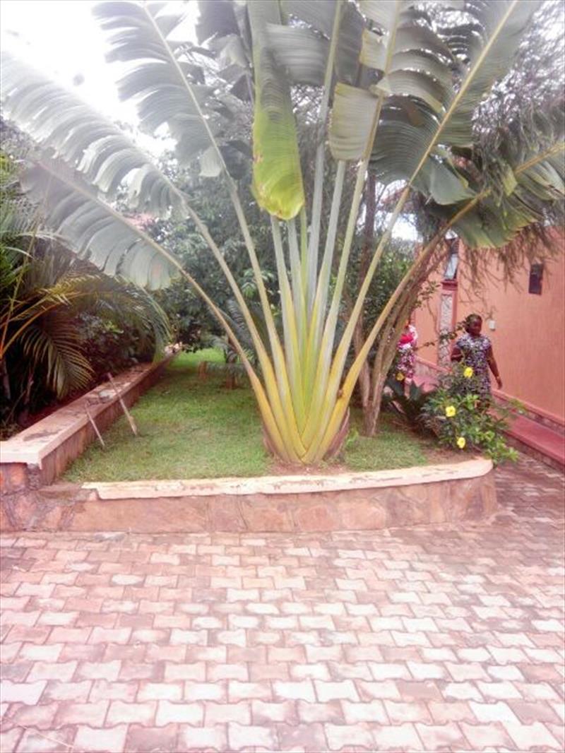 Bungalow for rent in Bwebajja Wakiso