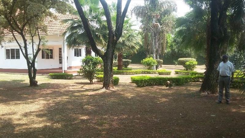 Bungalow for sale in Bugoloobi Kampala