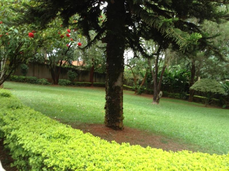 Bungalow for rent in Kololo Kampala