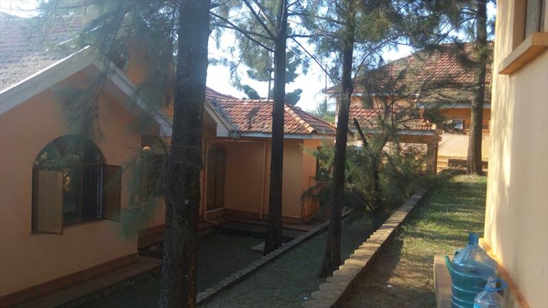 Bungalow for rent in Lubowa Wakiso