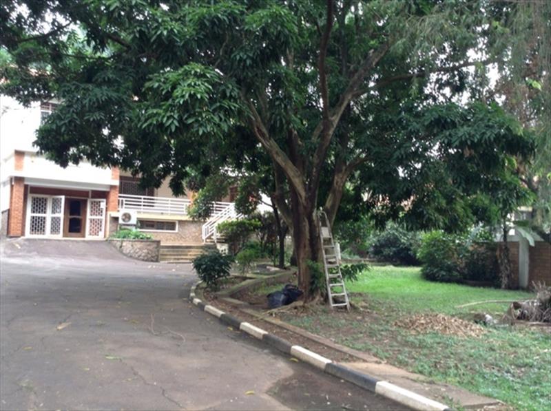 Mansion for rent in Kololo Kampala