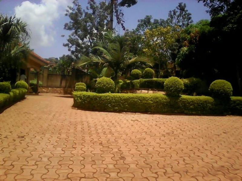 Bungalow for rent in Bwebajja Kampala