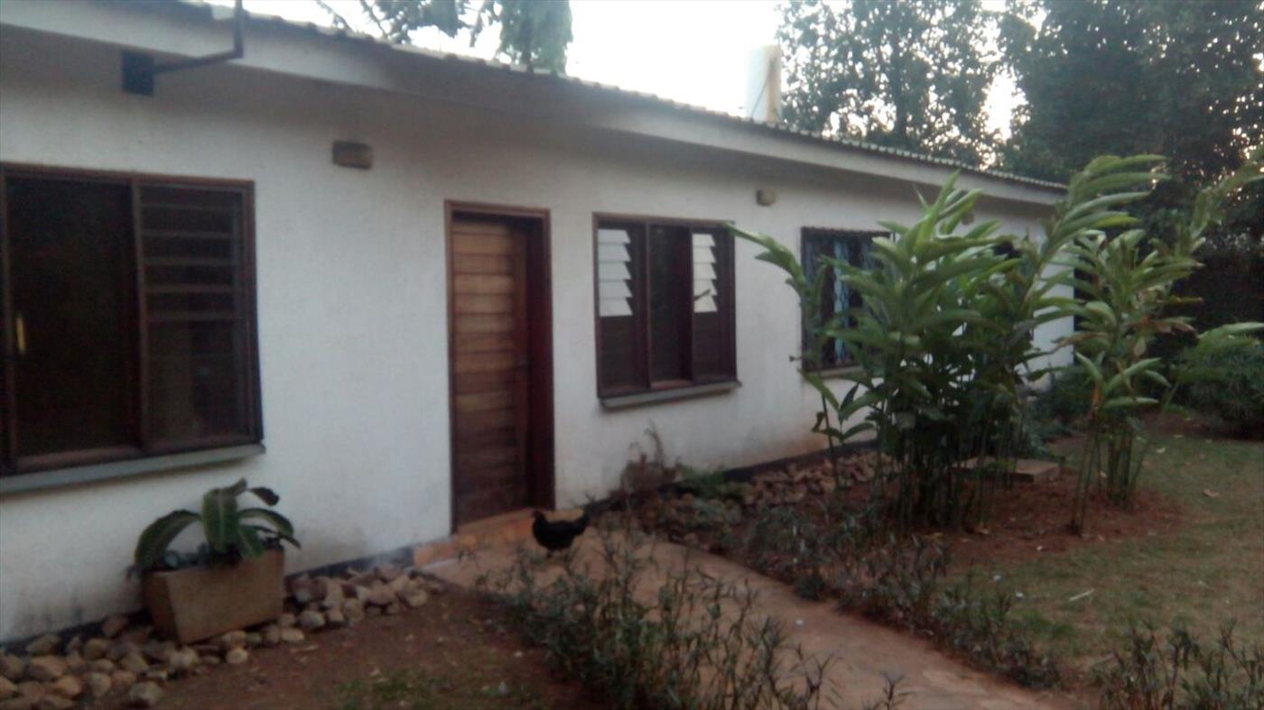 Bungalow for sale in Bugoloobi Kampala