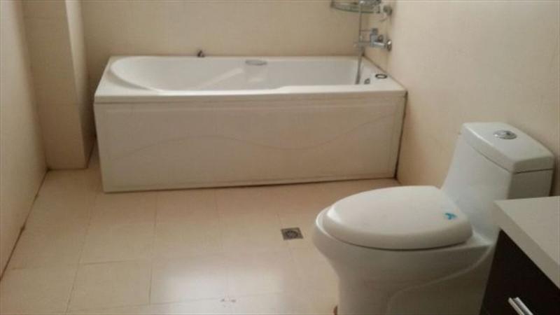 Apartment for rent in Kololo Kampala