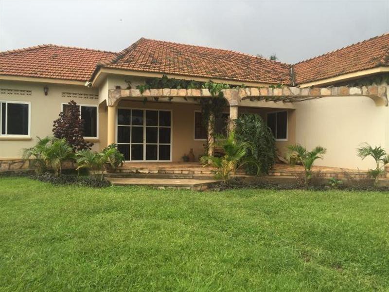 Bungalow for rent in Ntinda Kampala