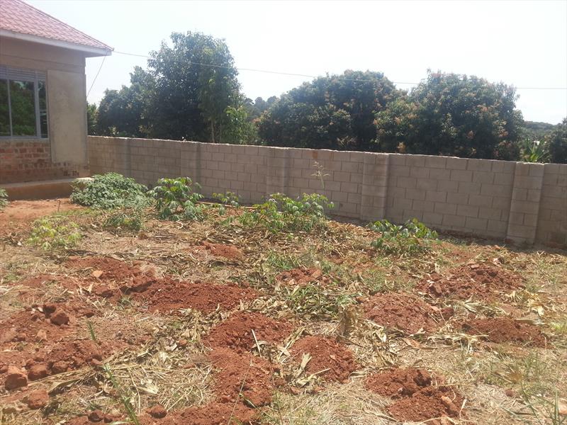 Bungalow for sale in Kajjansi Wakiso