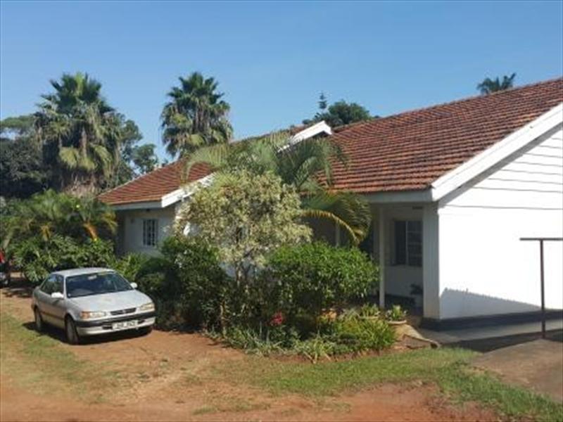 Bungalow for rent in Bugoloobi Kampala