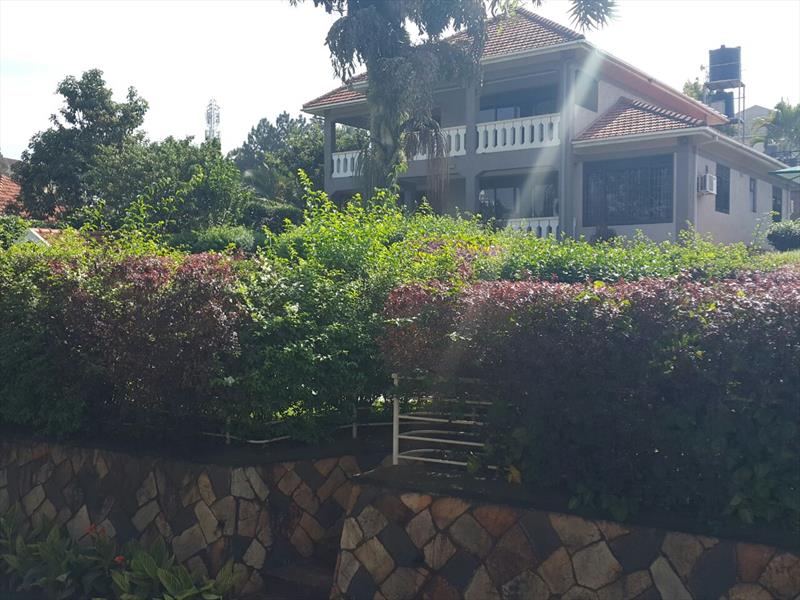 Town House for rent in Naguru Kampala