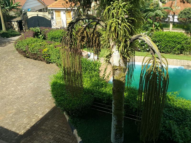 Town House for rent in Naguru Kampala