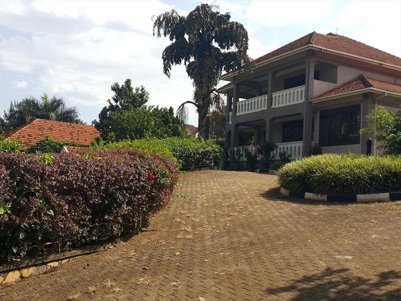 Town House for rent in Naguru Kampala