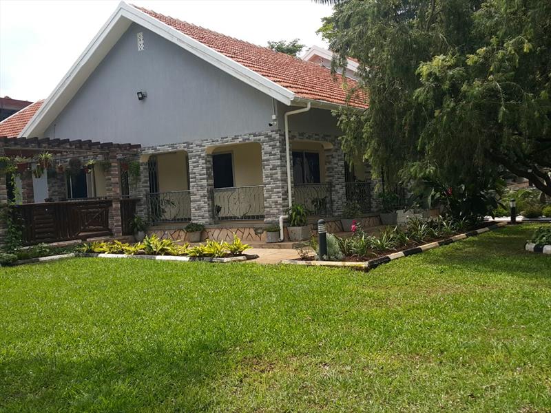 Bungalow for rent in Bugoloobi Kampala