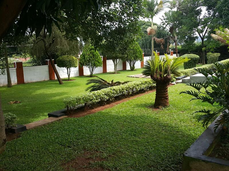 Bungalow for rent in Bugoloobi Kampala