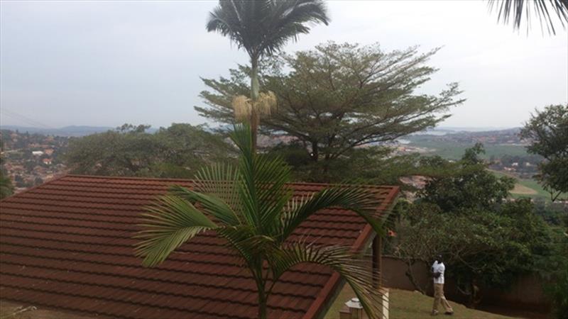 Bungalow for sale in Mbuya Kampala