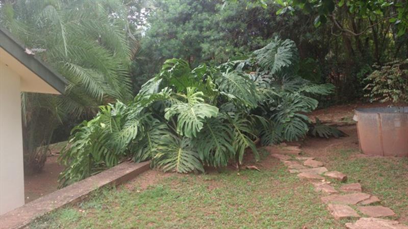 Bungalow for sale in Mbuya Kampala