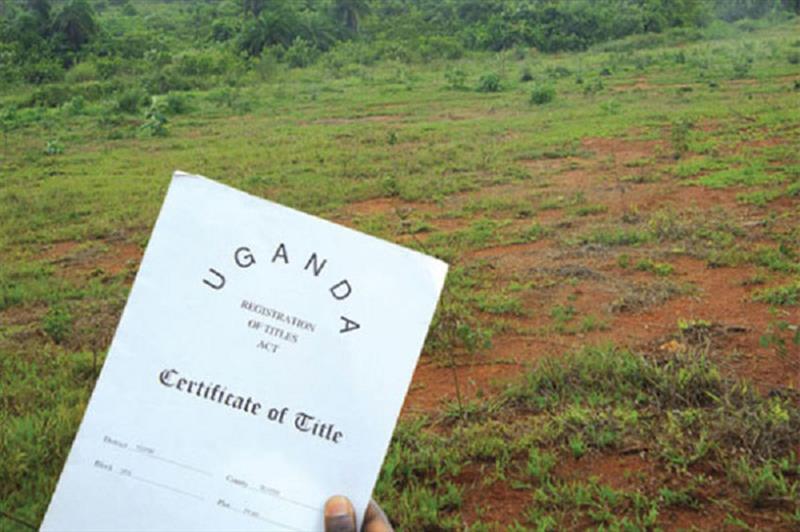 How to replace a lost land title deed in Uganda.