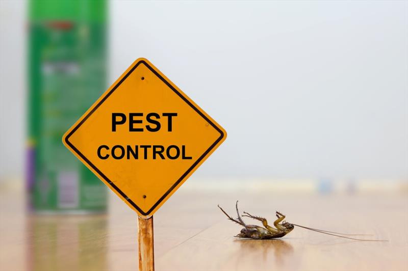 Advantages and disadvantages of pest control methods.