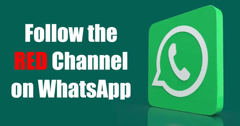 How to follow the RED Channel on WhatsApp.