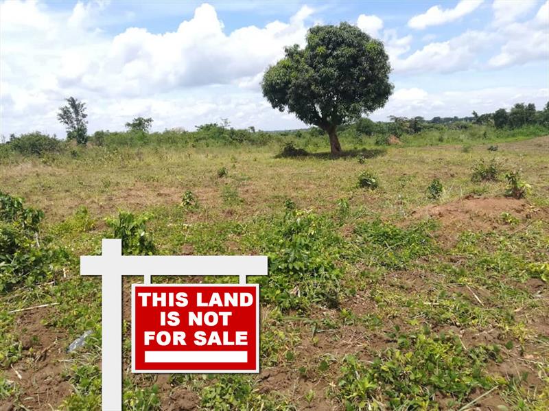 Land fraud in Uganda, the causes, impacts, and solutions.