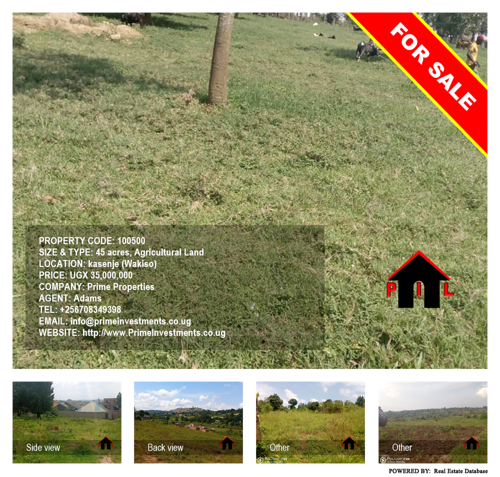 Agricultural Land  for sale in Kasanjje Wakiso Uganda, code: 100500