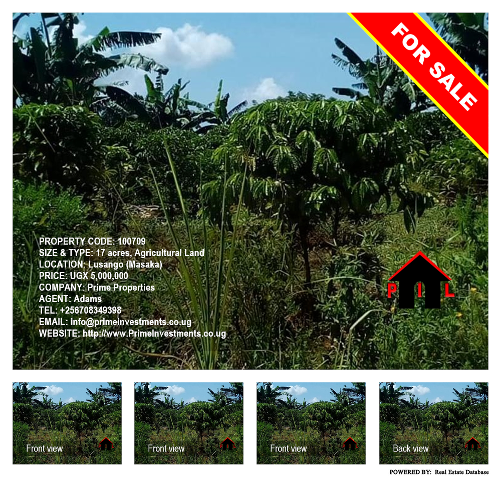 Agricultural Land  for sale in Lusango Masaka Uganda, code: 100709