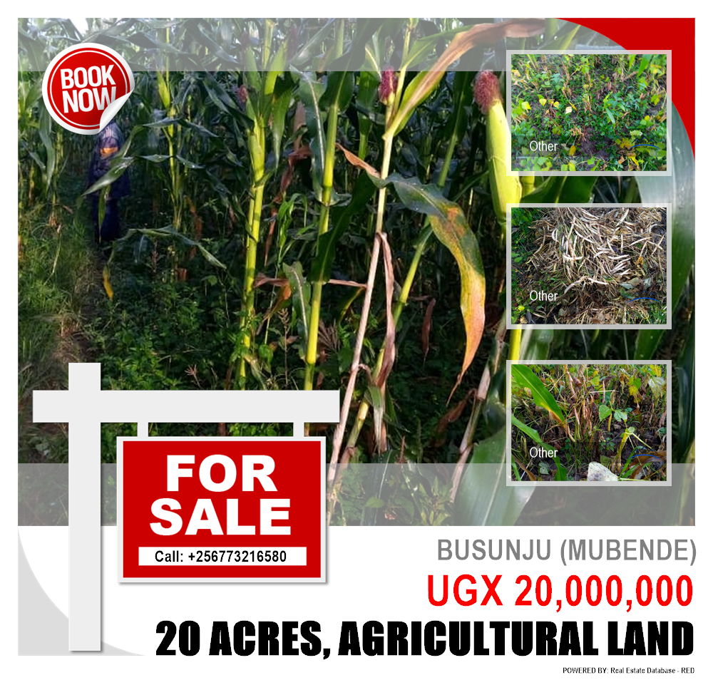 Agricultural Land  for sale in Busunjju Mubende Uganda, code: 101403