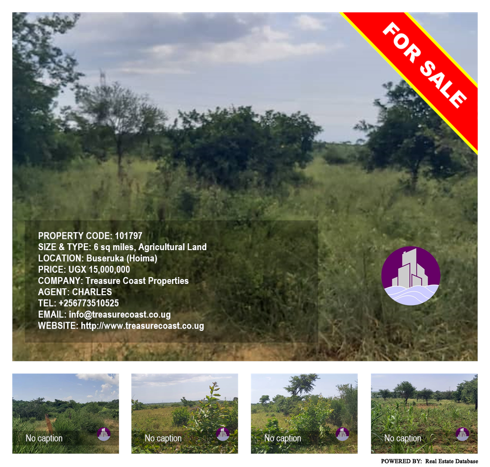 Agricultural Land  for sale in Buseruka Hoima Uganda, code: 101797