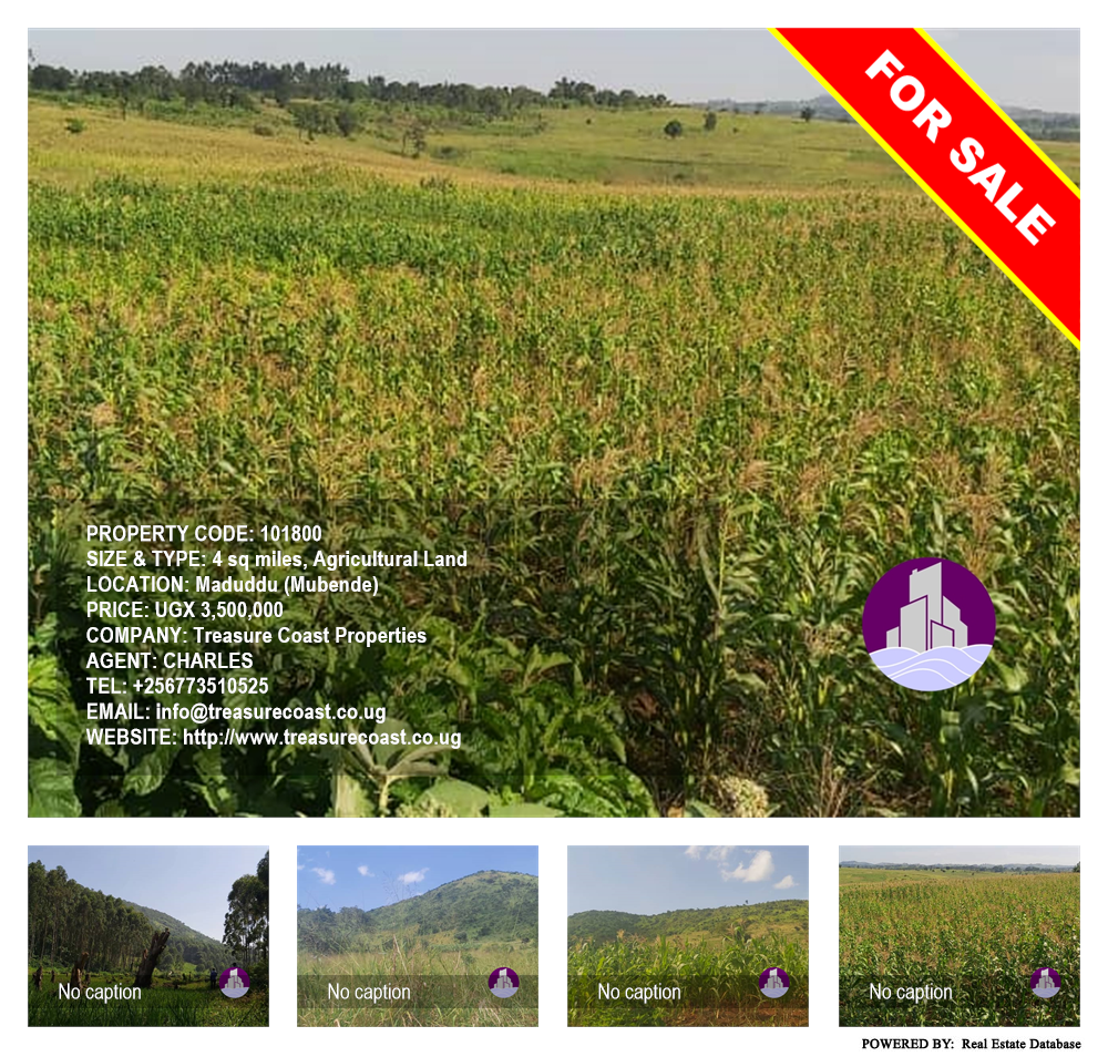 Agricultural Land  for sale in Maduddu Mubende Uganda, code: 101800