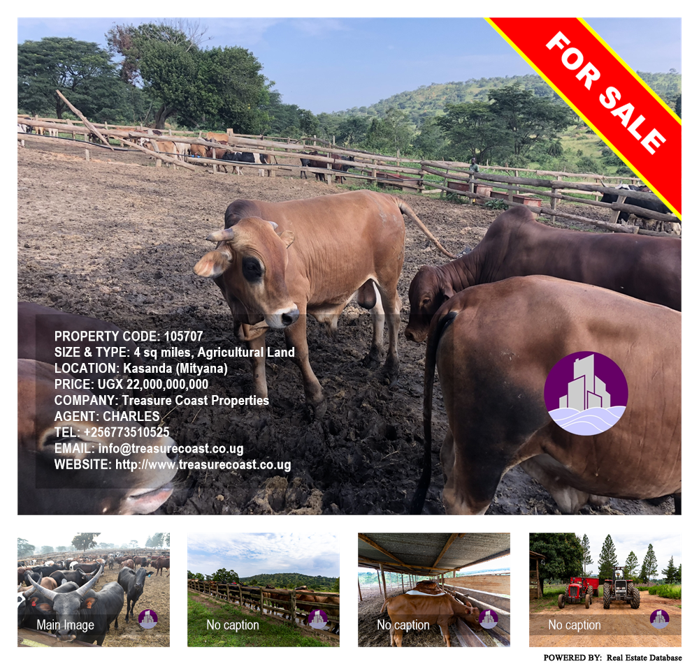 Agricultural Land  for sale in Kassanda Mityana Uganda, code: 105707