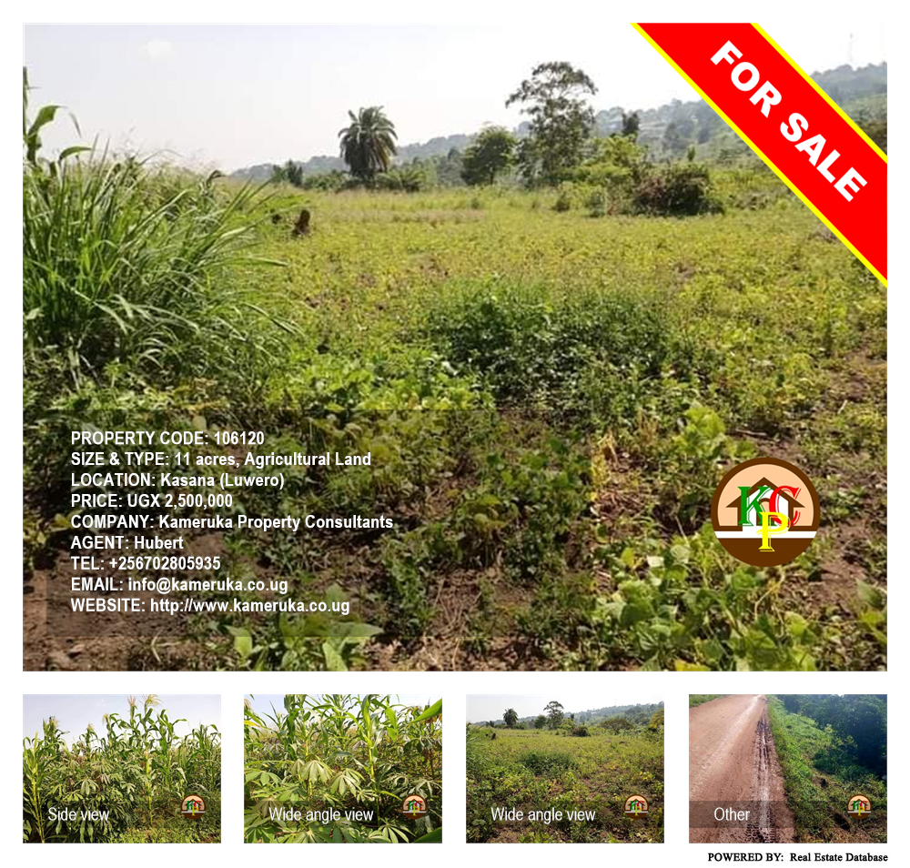 Agricultural Land  for sale in Kasana Luweero Uganda, code: 106120