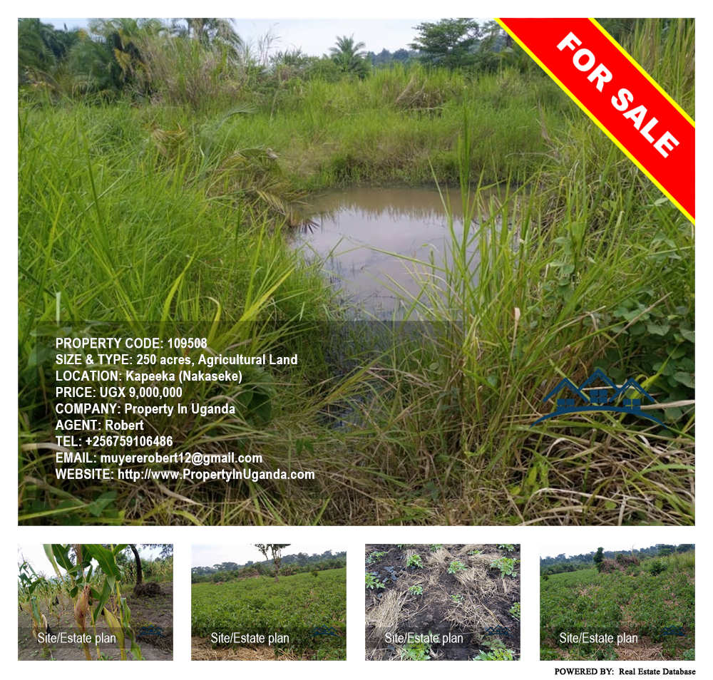 Agricultural Land  for sale in Kapeeka Nakaseke Uganda, code: 109508