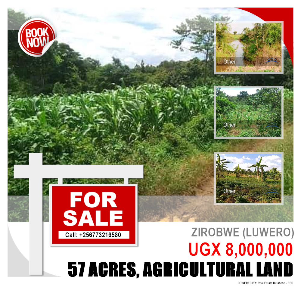 Agricultural Land  for sale in Ziloobwe Luweero Uganda, code: 110468